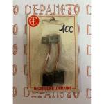 Jeu de 2 charbons de dynamo PARIS RHÖNE  REF 72601 type G10